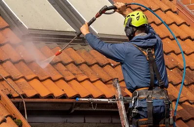 Démoussage et hydrofuge de toiture à Frise